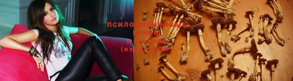 мескалин Магас