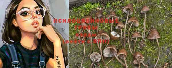 прущий лед Лиски