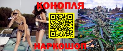 СК Гусев