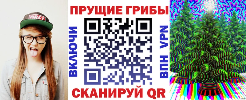 Галлюциногенные грибы Psilocybe  Ульяновск 