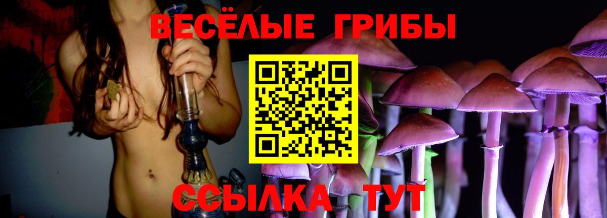 Меф  Ешки  MDMA  Ульяновск  Вход с VPN  Каннабис  Каннабис 