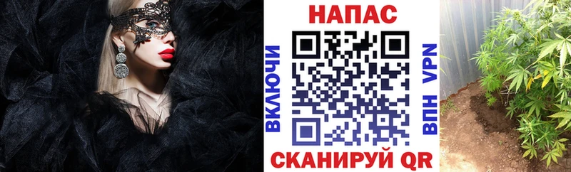 Шишки марихуана OG Kush Ульяновск